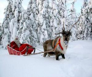 yapboz Noel Baba onun atlı kızak kar üzerinde ren geyiği ile